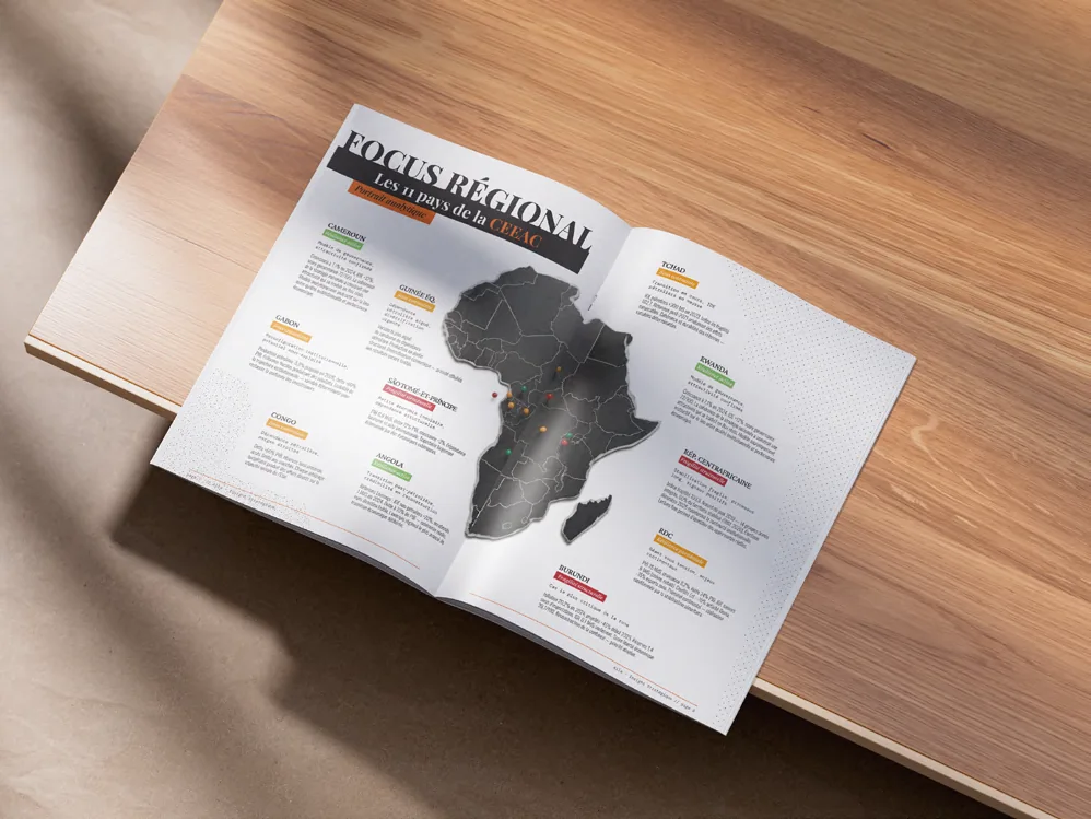 Aïla Insight Stratégique, visuel 2